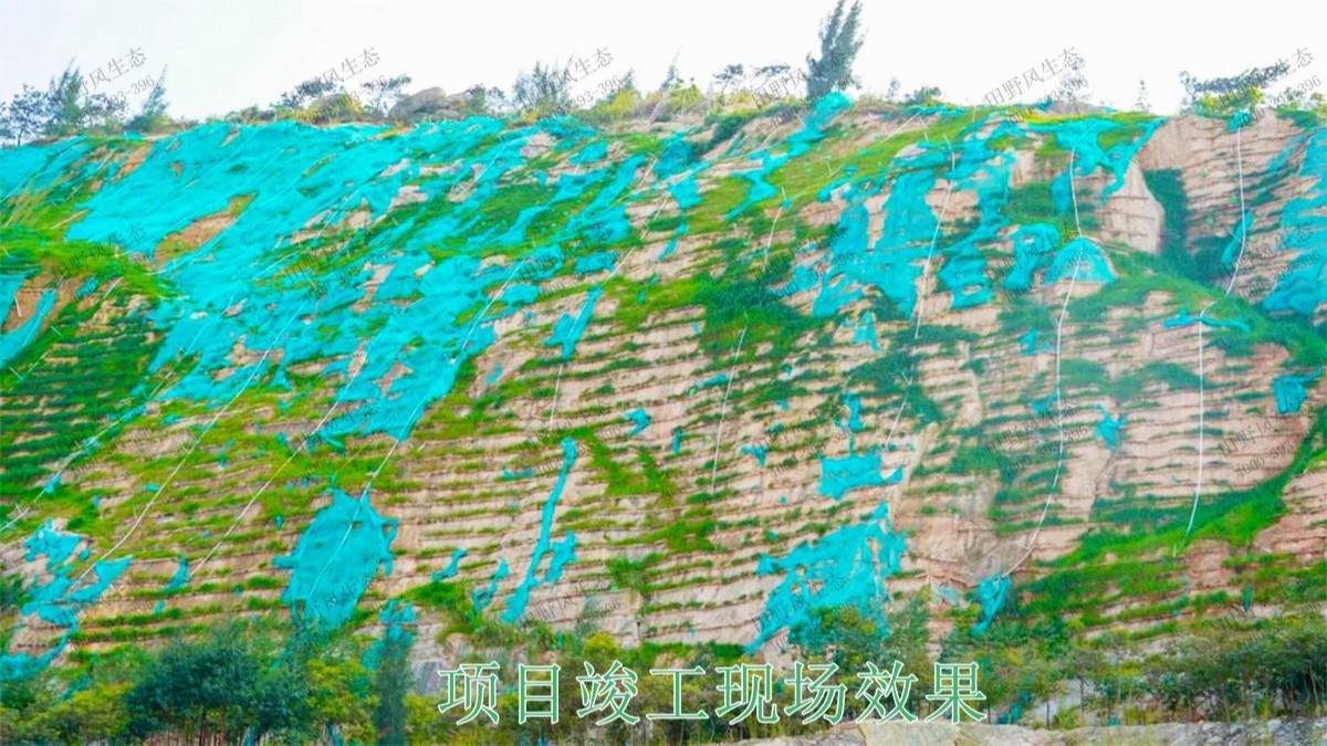梅州永福石場生態(tài)修復工程 梅州永福石場生態(tài)修復工程