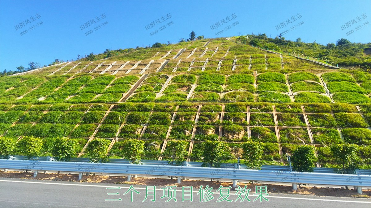 惠大高速惠州段公路邊坡噴播工程 惠大高速惠州段公路邊坡噴播工程