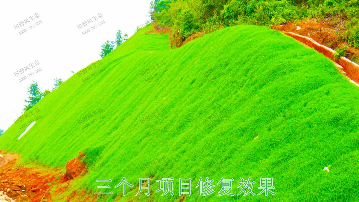 江肇高速四會(huì)段公路邊坡修復(fù)工程 江肇高速四會(huì)段公路邊坡修復(fù)工程