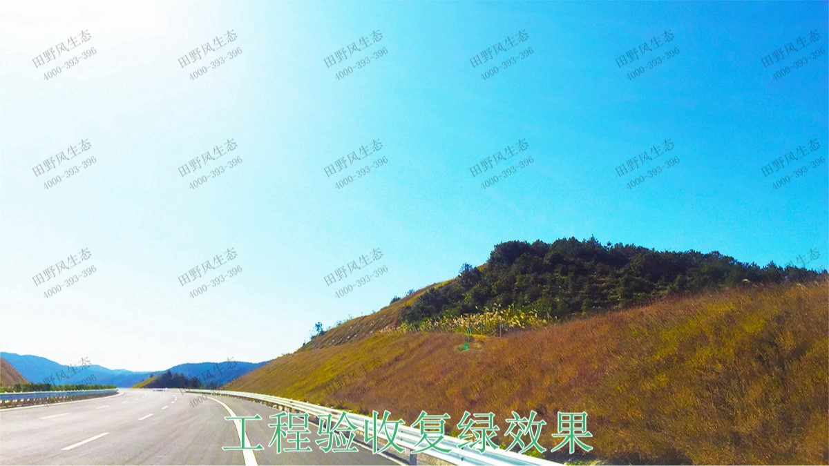 梅龍高速梅州段道路邊坡植草工程 梅龍高速梅州段道路邊坡植草工程
