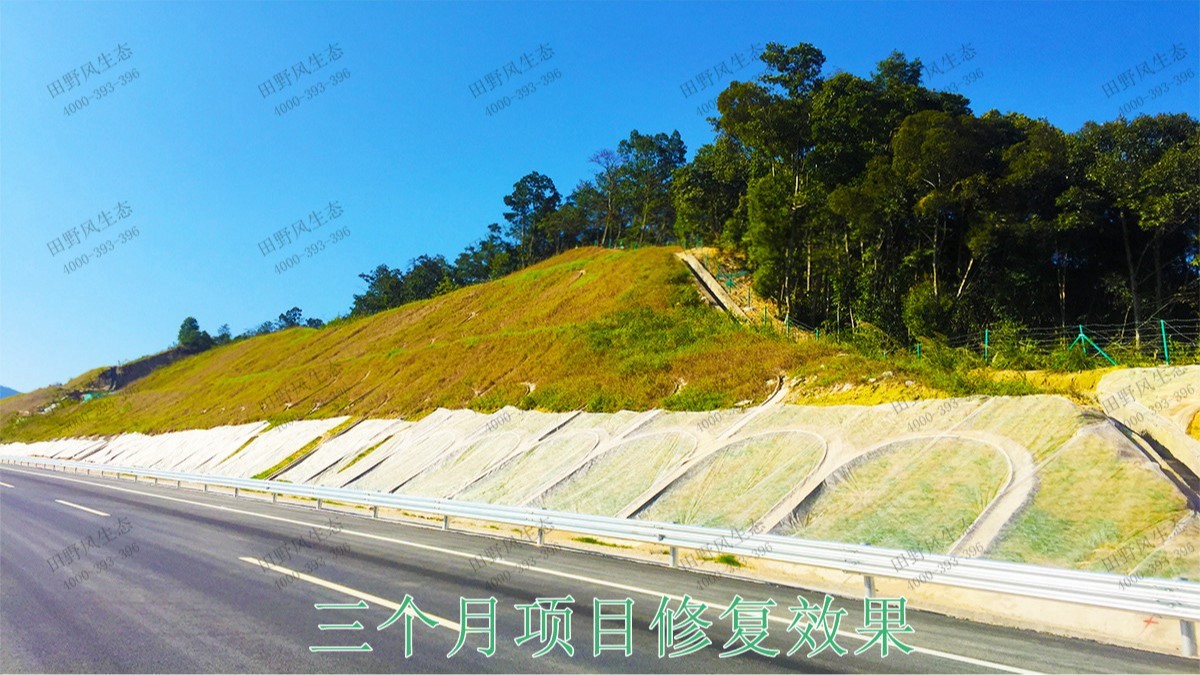 梅龍高速梅州段道路邊坡植草工程 梅龍高速梅州段道路邊坡植草工程