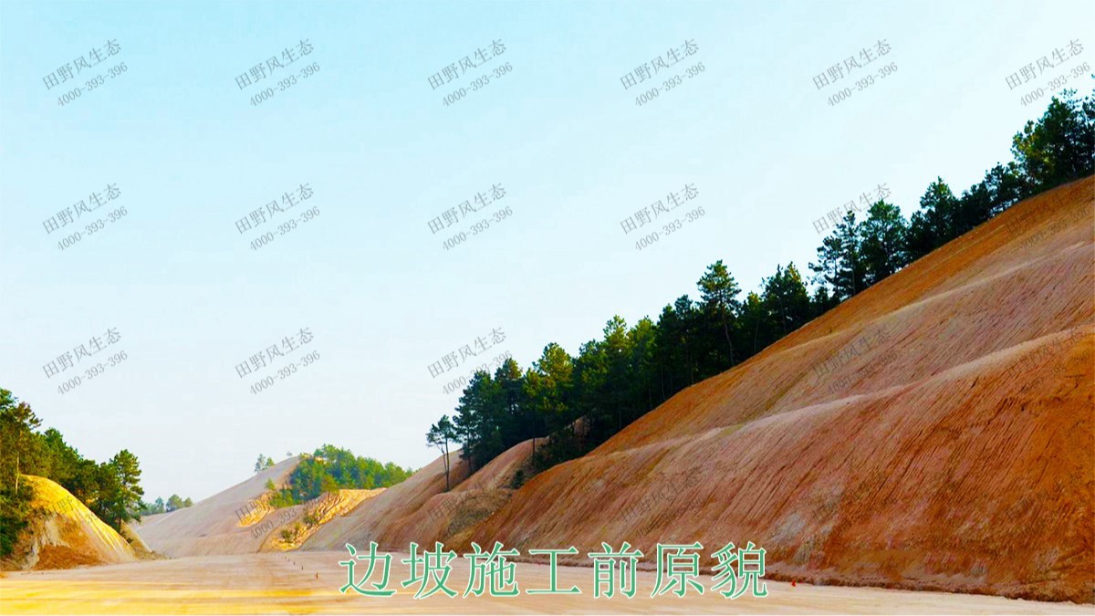 平興高速五華段公路邊坡掛網(wǎng)復(fù)綠 平興高速五華段公路邊坡掛網(wǎng)復(fù)綠