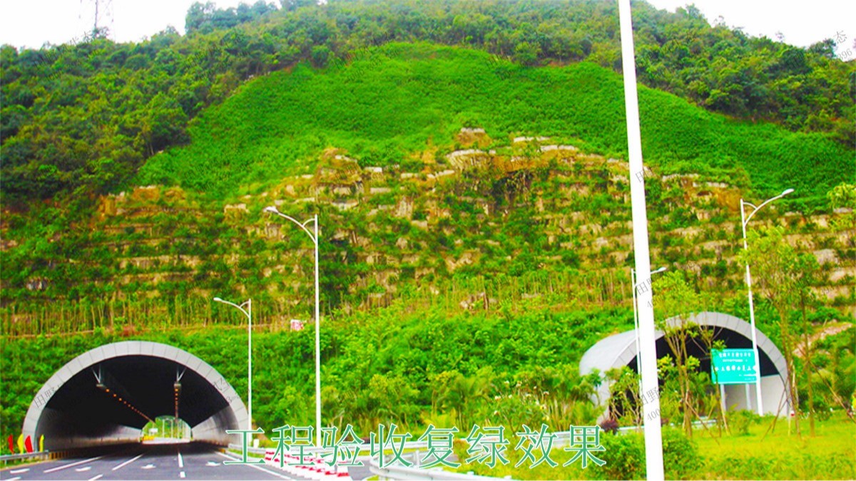 廣珠高速中山段公路邊坡綠化高速工程 廣珠高速中山段公路邊坡綠化高速工程