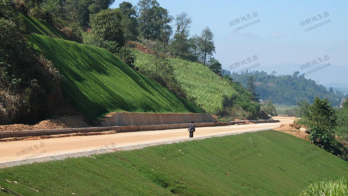 邊坡綠化 邊坡綠化