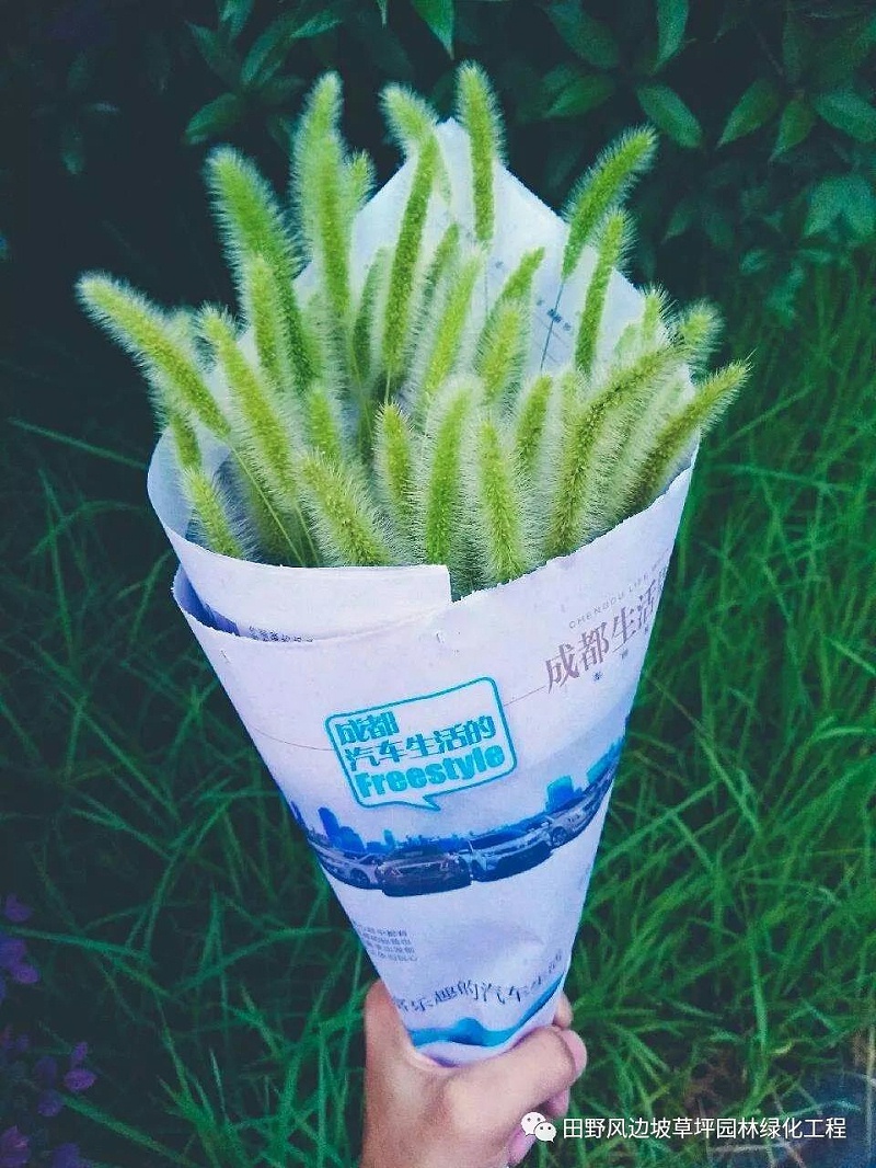 微信圖片_20200530093356