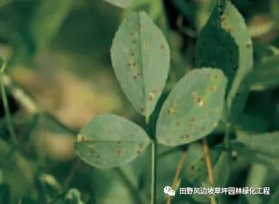 微信圖片_20200530101322 微信圖片_20200530101322