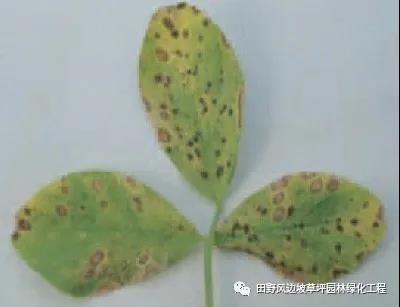 微信圖片_20200530101325 微信圖片_20200530101325