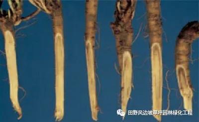 微信圖片_20200530101329 微信圖片_20200530101329