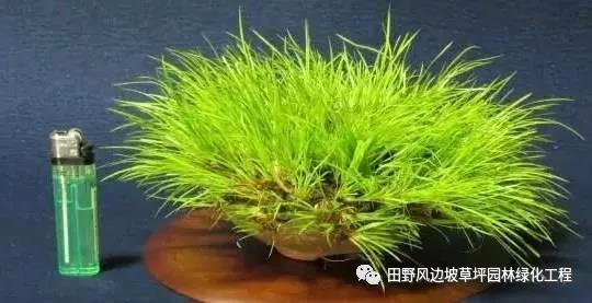 微信圖片_20200530172504 微信圖片_20200530172504