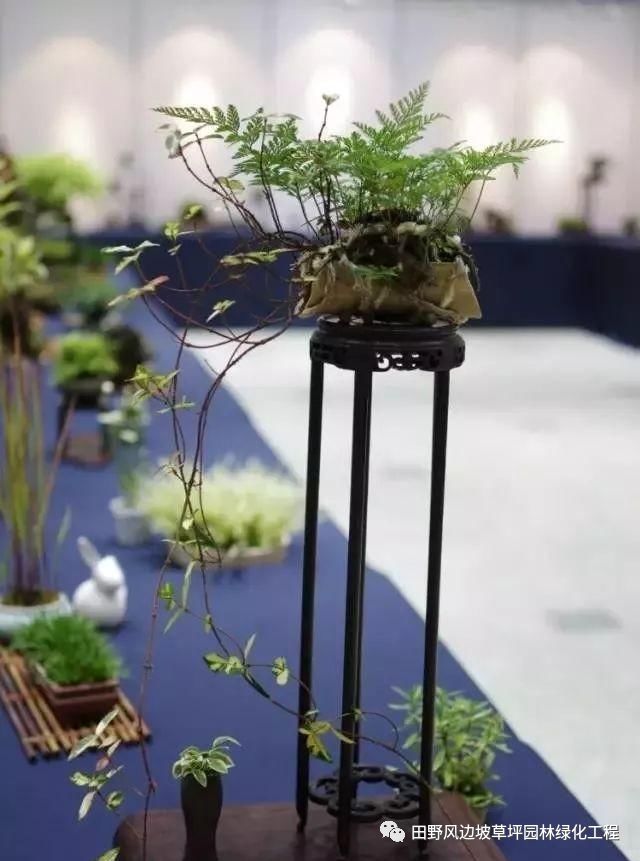 微信圖片_20200530172506 微信圖片_20200530172506