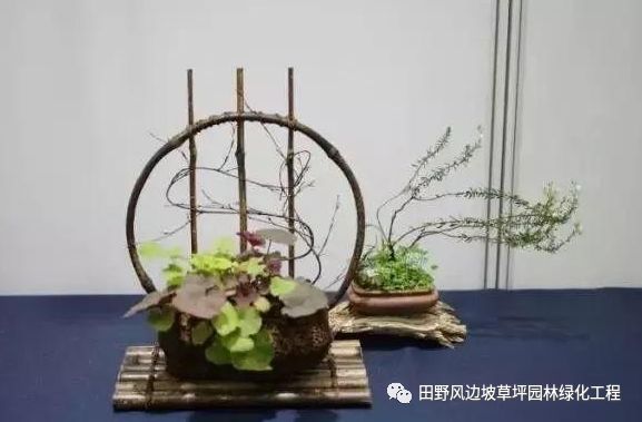 微信圖片_20200530172510 微信圖片_20200530172510