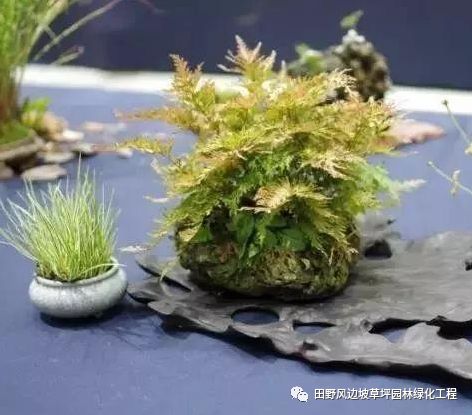 微信圖片_20200530172513 微信圖片_20200530172513