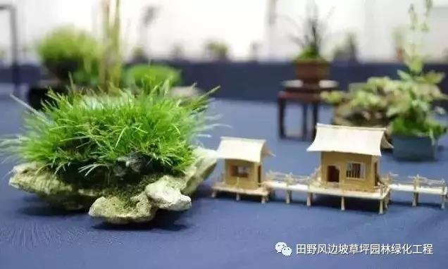 微信圖片_20200530172516 微信圖片_20200530172516