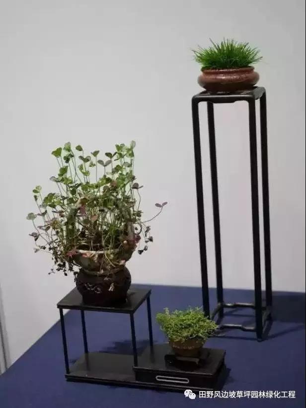 微信圖片_20200530172520 微信圖片_20200530172520