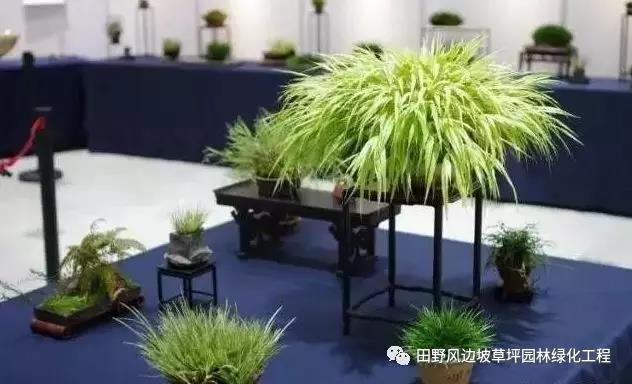 微信圖片_20200530172523 微信圖片_20200530172523