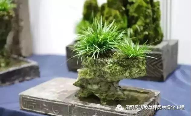 微信圖片_20200530172528 微信圖片_20200530172528