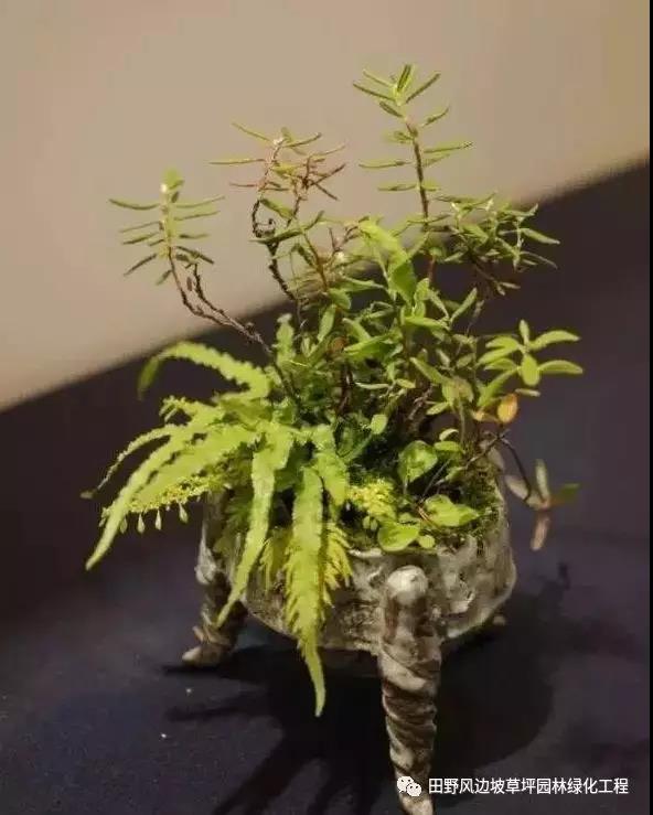 微信圖片_20200530172531 微信圖片_20200530172531