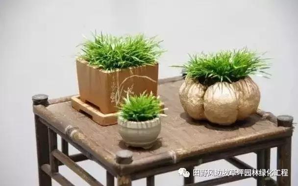 微信圖片_20200530172534 微信圖片_20200530172534