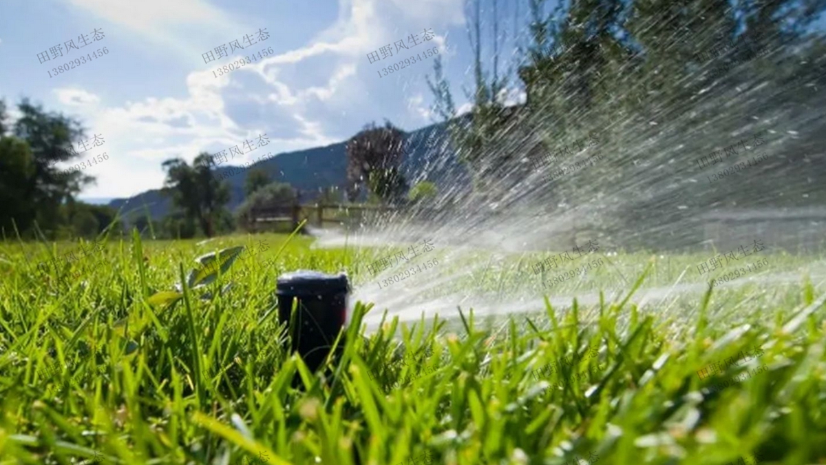 草坪澆水 草坪澆水