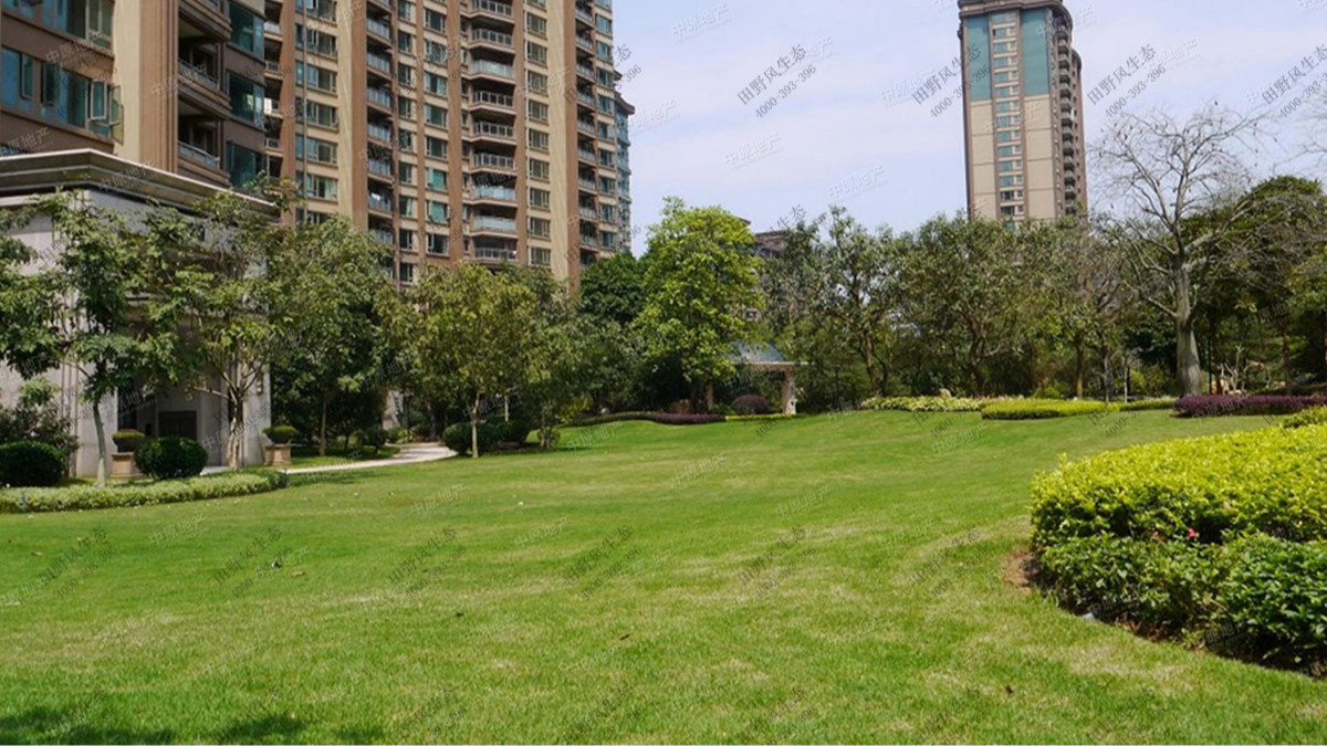 廣州雅居樂小區(qū)綠化養(yǎng)護(hù)案例 廣州雅居樂小區(qū)綠化養(yǎng)護(hù)案例