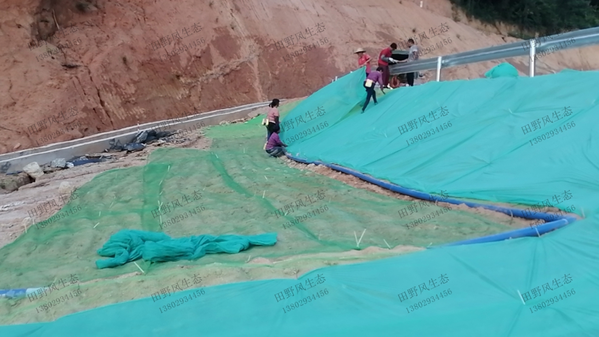 蓋無(wú)紡布 蓋無(wú)紡布