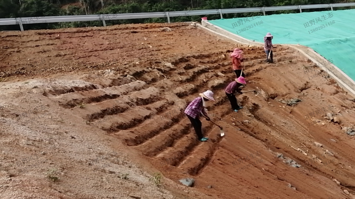 施工現(xiàn)場(chǎng) 施工現(xiàn)場(chǎng)