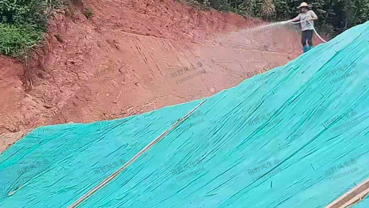 澆水養(yǎng)護(hù) 澆水養(yǎng)護(hù)