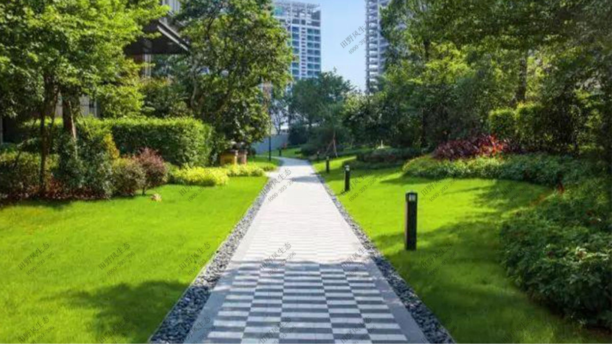 廣州保利天悅小區(qū)草坪養(yǎng)護(hù)案例 廣州保利天悅小區(qū)草坪養(yǎng)護(hù)案例