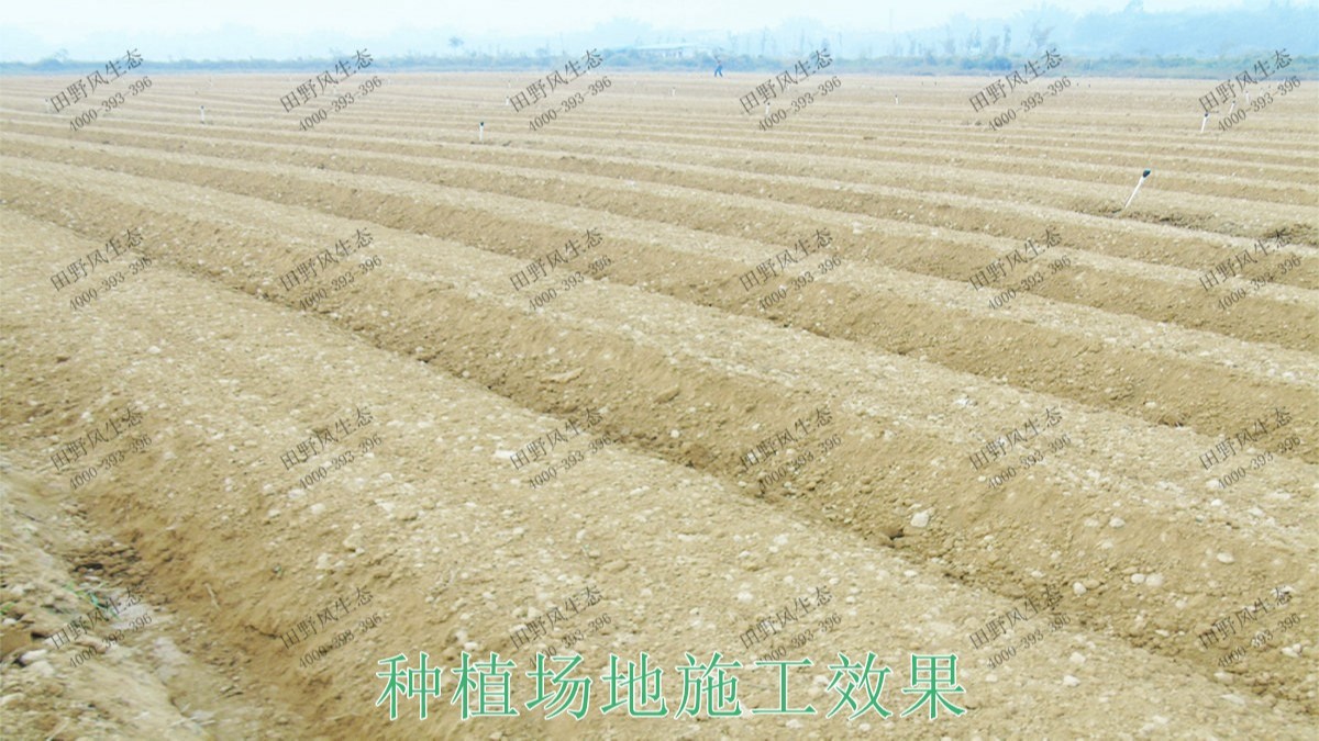 廣西北流銅石嶺4A景區(qū)花海設(shè)計(jì) 廣西北流銅石嶺4A景區(qū)花海設(shè)計(jì)