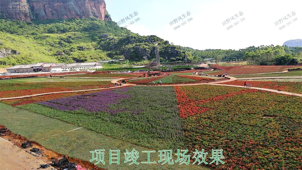 廣西北流銅石嶺4A景區(qū)花海設(shè)計(jì) 廣西北流銅石嶺4A景區(qū)花海設(shè)計(jì)