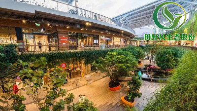 綠植花卉租擺的業(yè)務(wù)領(lǐng)域有哪些？